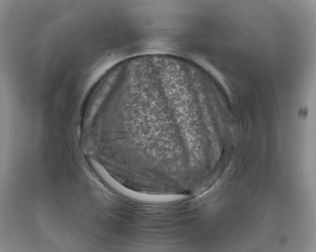 X0000091981415200709201417