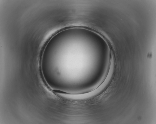 X0000091981416200709201417