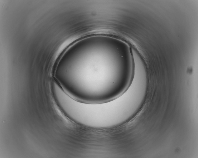 X0000091981418200709201417