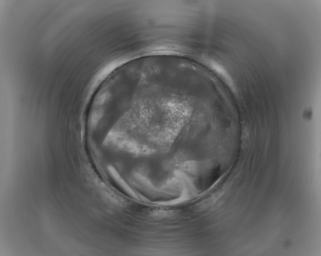 X0000091981419200709201417