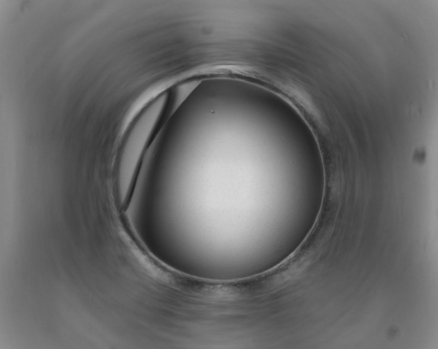 X0000091981420200709201417