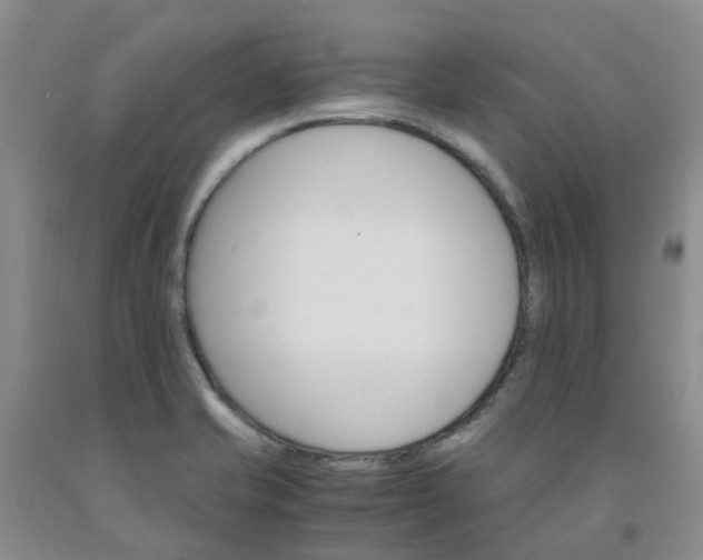 X0000091981421200709201417