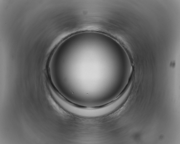 X0000091981422200709201417