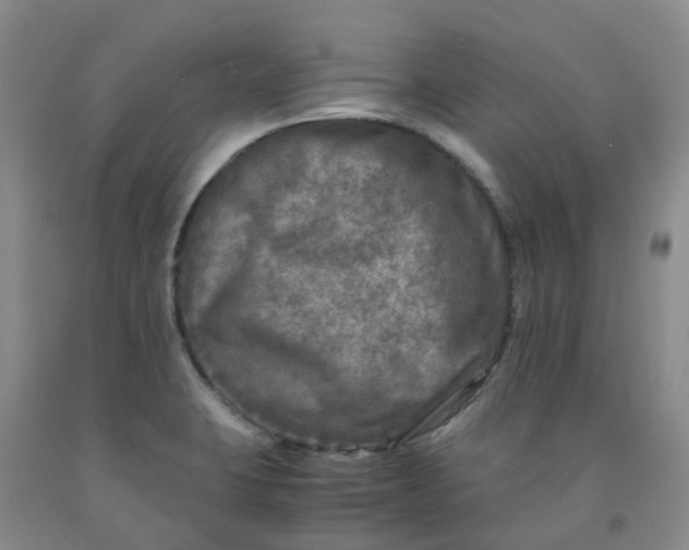 X0000091981423200709201417