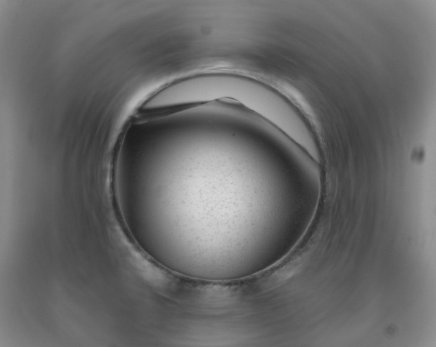 X0000091981424200709201417