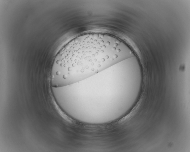 X0000091981425200709201417