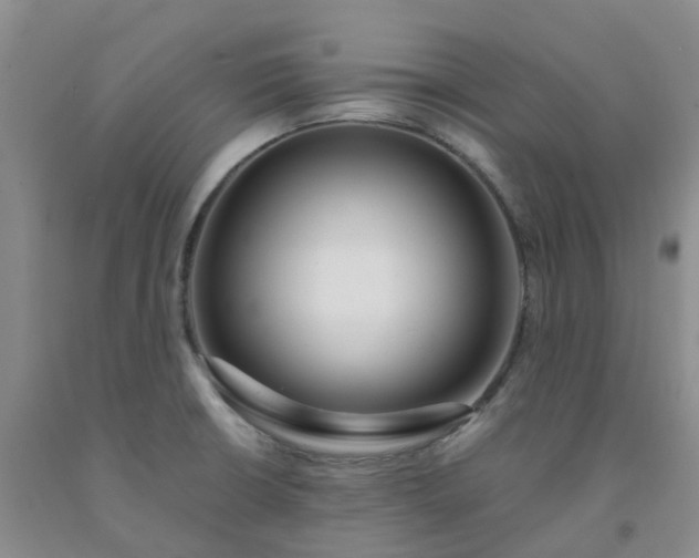 X0000091981426200709201417