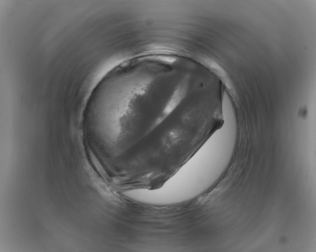 X0000091981427200709201417