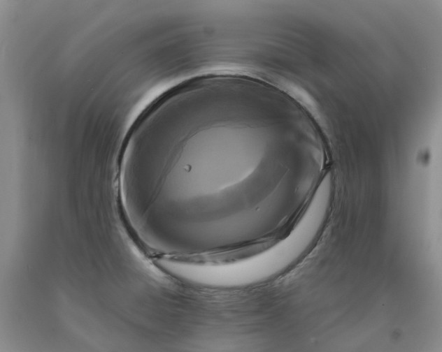 X0000091981428200709201417