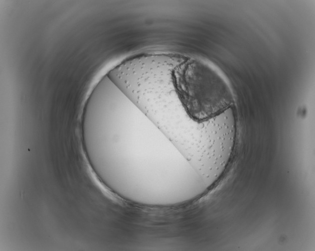 X0000091981429200709201417