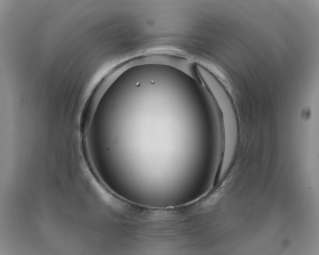 X0000091981430200709201417