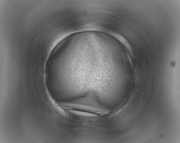 X0000091981431200709201417