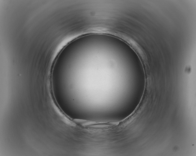 X0000091981432200709201417