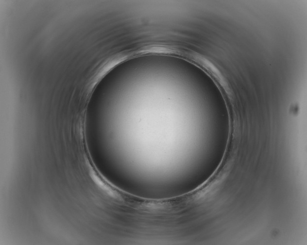 X0000091981433200709201417