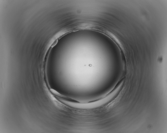 X0000091981434200709201417