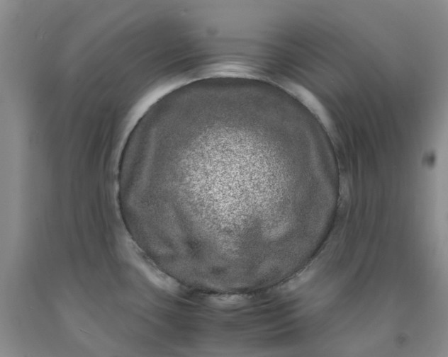 X0000091981435200709201417