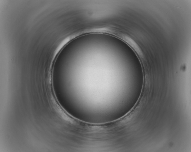 X0000091981436200709201417