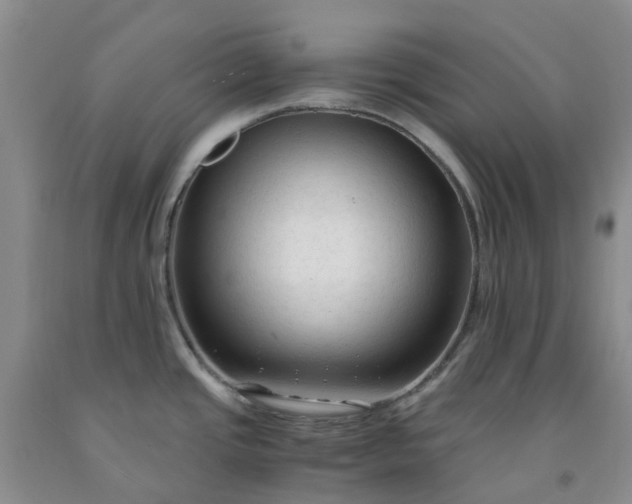 X0000091981437200709201417