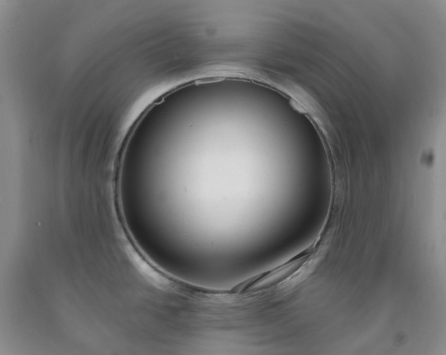 X0000091981438200709201417