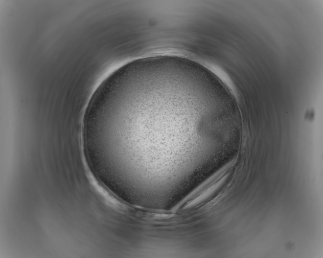 X0000091981439200709201417