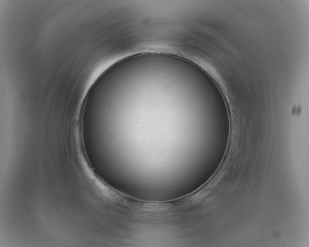 X0000091981440200709201417