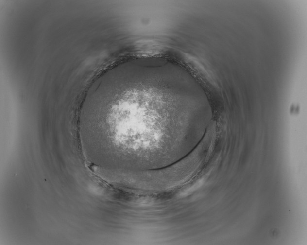 X0000091981441200709201416