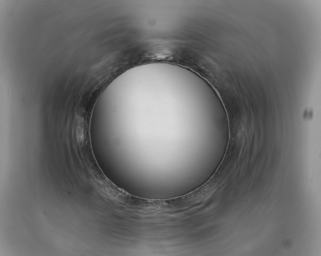 X0000091981442200709201416