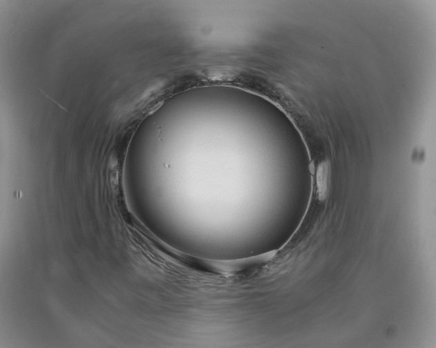 X0000091981443200709201416