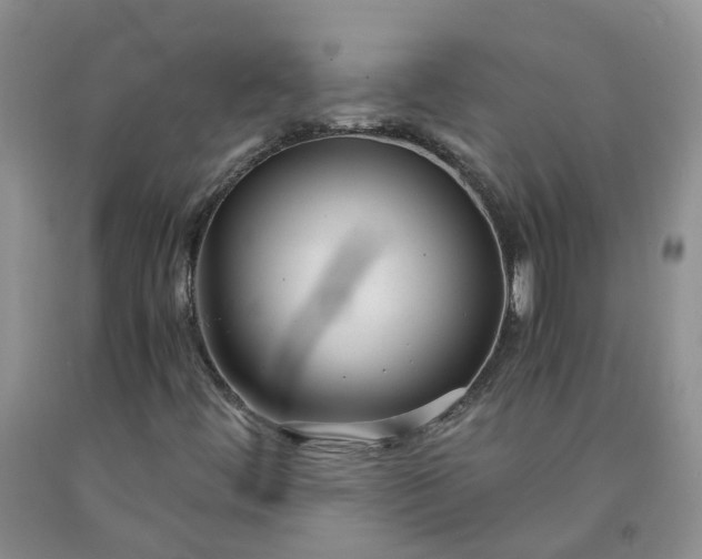 X0000091981444200709201416