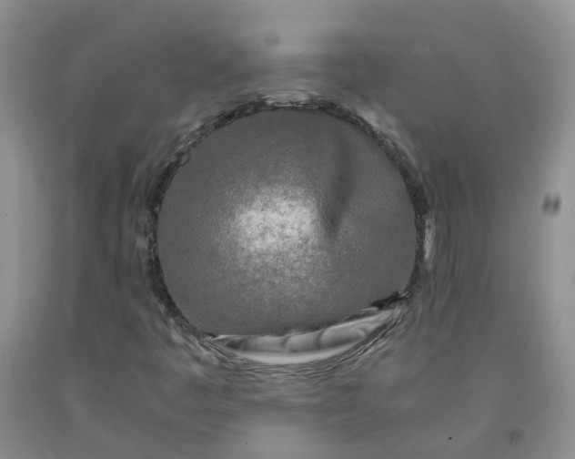 X0000091981445200709201416