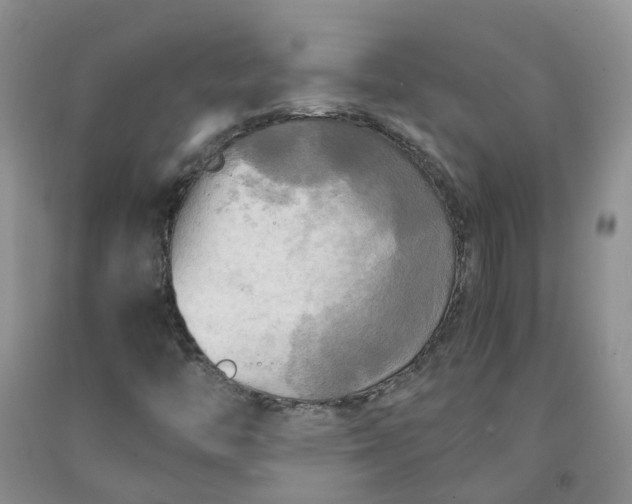 X0000091981446200709201416