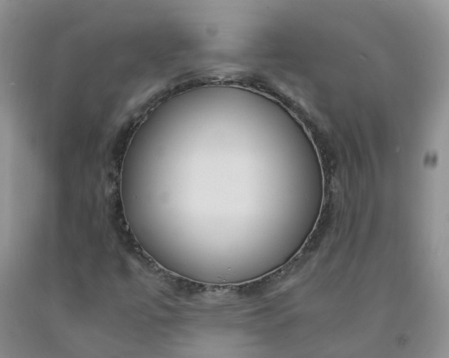 X0000091981447200709201416