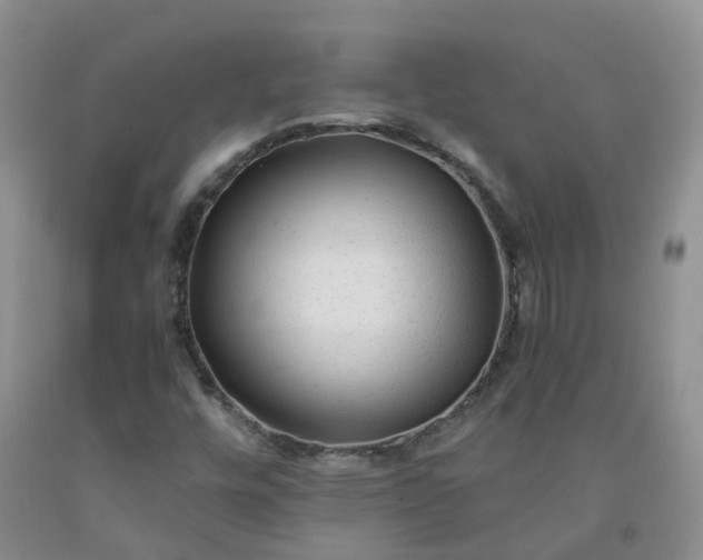 X0000091981448200709201416