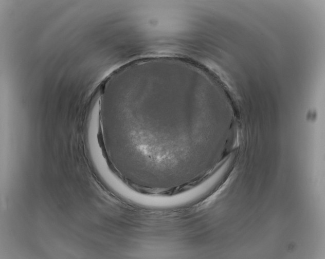 X0000091981449200709201416