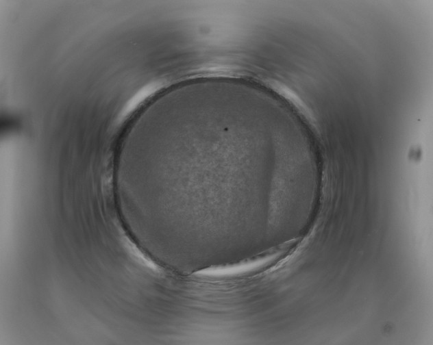 X0000091981450200709201416