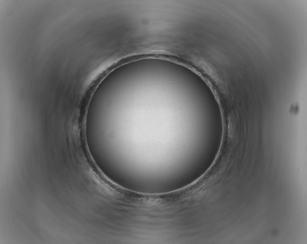 X0000091981452200709201416