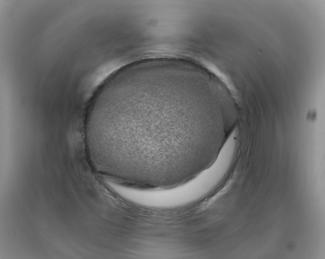 X0000091981453200709201416