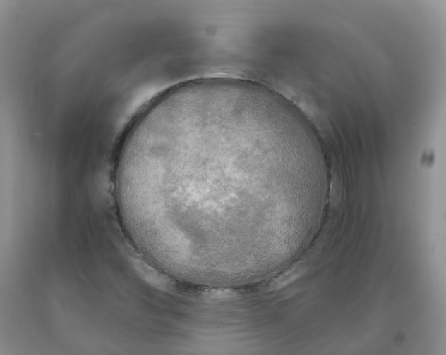 X0000091981454200709201416