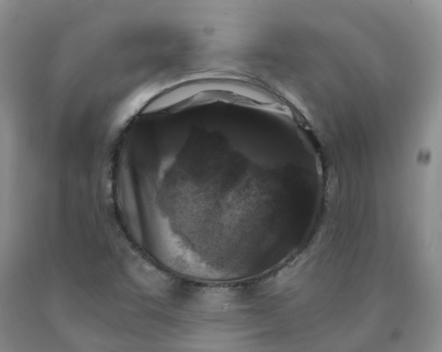 X0000091981455200709201416