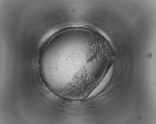 X0000091981456200709201416