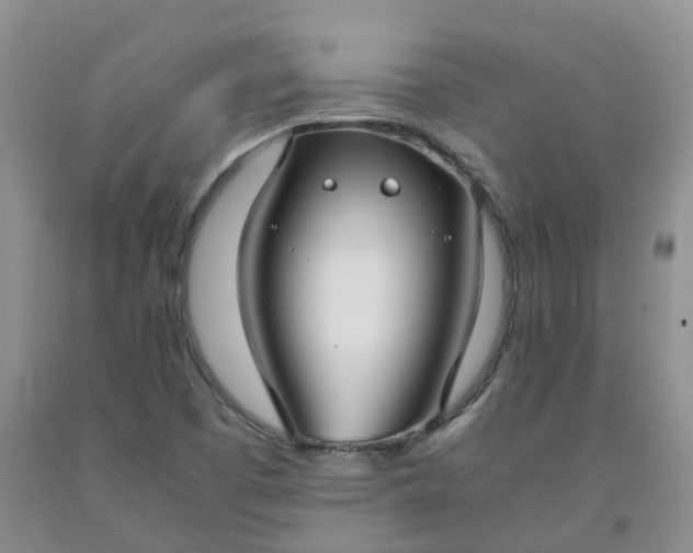 X0000091981457200709201416