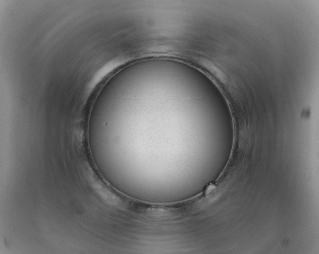 X0000091981458200709201416