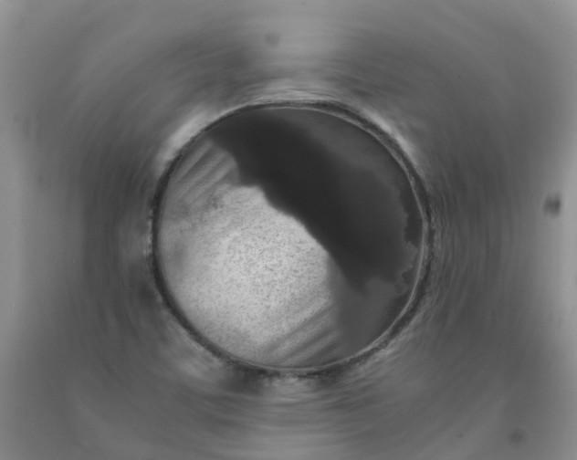 X0000091981459200709201416