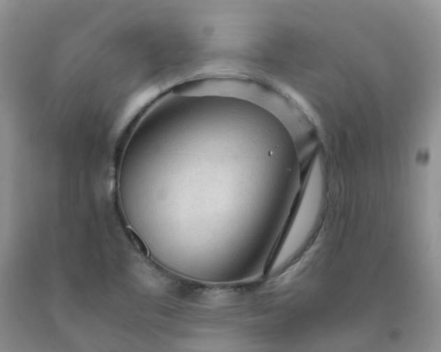 X0000091981461200709201416