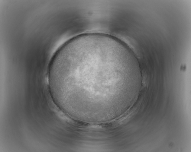 X0000091981462200709201416