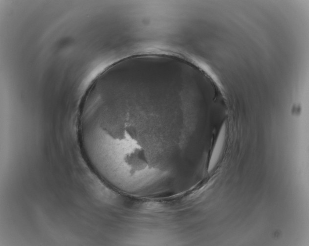 X0000091981463200709201416