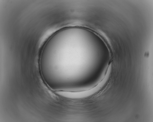 X0000091981464200709201416