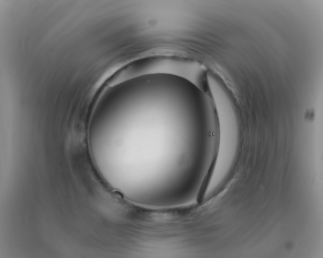 X0000091981465200709201416