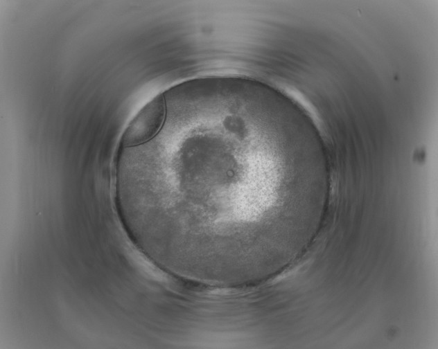 X0000091981467200709201416