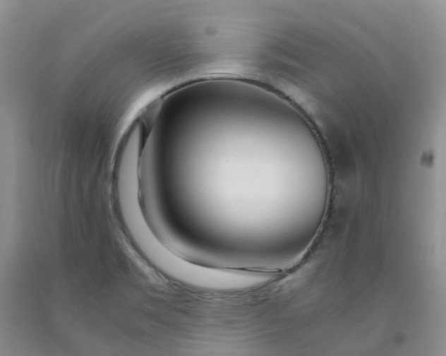 X0000091981469200709201416